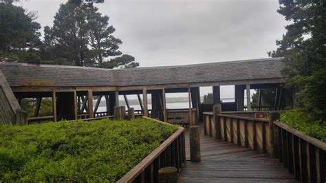 harbor vista florence oregon|Harbor Vista Park in Florence Oregon OR